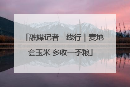 融媒记者一线行｜麦地套玉米 多收一季粮