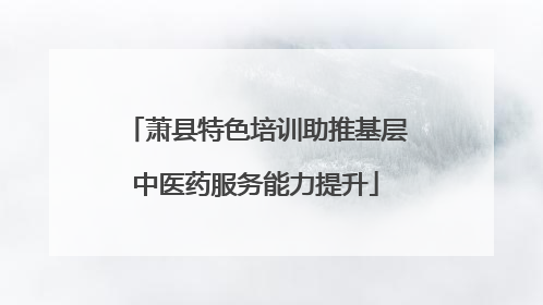 萧县特色培训助推基层中医药服务能力提升