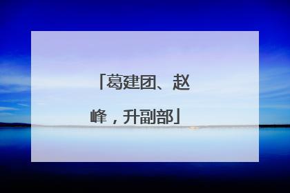 葛建团、赵峰，升副部