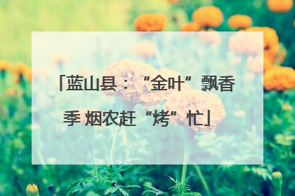 蓝山县：“金叶”飘香季 烟农赶“烤”忙