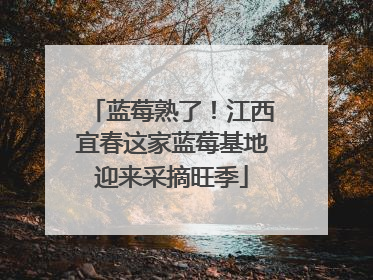 蓝莓熟了！江西宜春这家蓝莓基地迎来采摘旺季