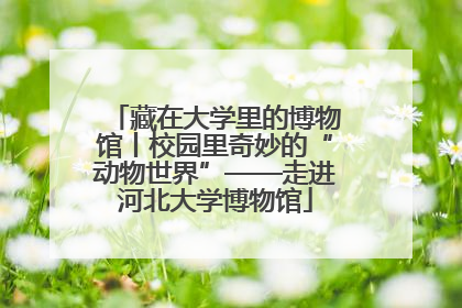 藏在大学里的博物馆丨校园里奇妙的“动物世界”——走进河北大学博物馆