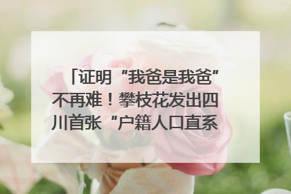 证明“我爸是我爸”不再难！攀枝花发出四川首张“户籍人口直系亲属关系谱”