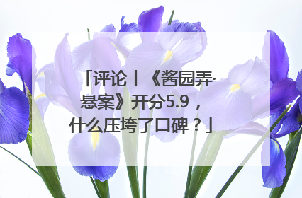 评论丨《酱园弄·悬案》开分5.9，什么压垮了口碑？