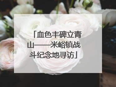 血色丰碑立青山——米峪镇战斗纪念地寻访