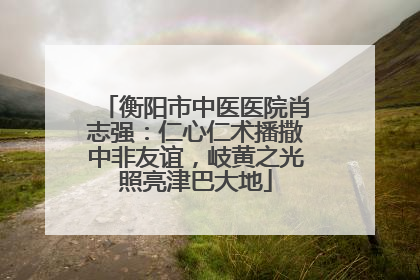 衡阳市中医医院肖志强：仁心仁术播撒中非友谊，岐黄之光照亮津巴大地