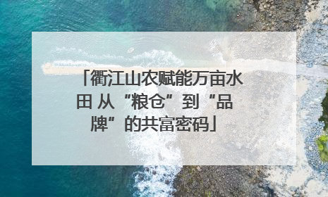 衢江山农赋能万亩水田 从“粮仓”到“品牌”的共富密码