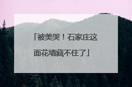 被美哭！石家庄这面花墙藏不住了