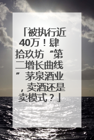 被执行近40万！肆拾玖坊“第二增长曲线”茅泉酒业，卖酒还是卖模式？