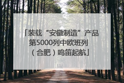装载“安徽制造”产品 第5000列中欧班列（合肥）鸣笛起航