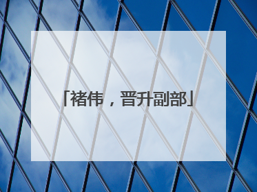 褚伟，晋升副部