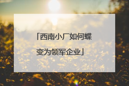 西南小厂如何蝶变为领军企业