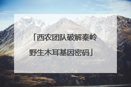 西农团队破解秦岭野生木耳基因密码