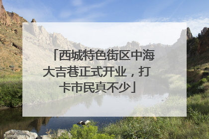 西城特色街区中海大吉巷正式开业，打卡市民真不少