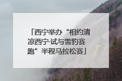 西宁举办“相约清凉西宁·试与雪豹赛跑”半程马拉松赛