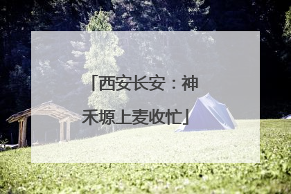 西安长安：神禾塬上麦收忙