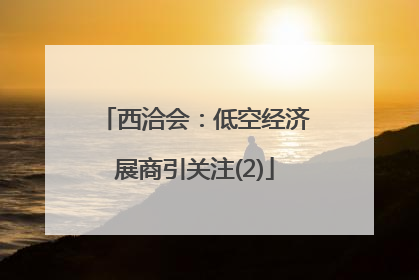 西洽会：低空经济展商引关注(2)