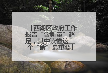 西湖区政府工作报告“含新量”超足，其中读懂这三个“新”最重要