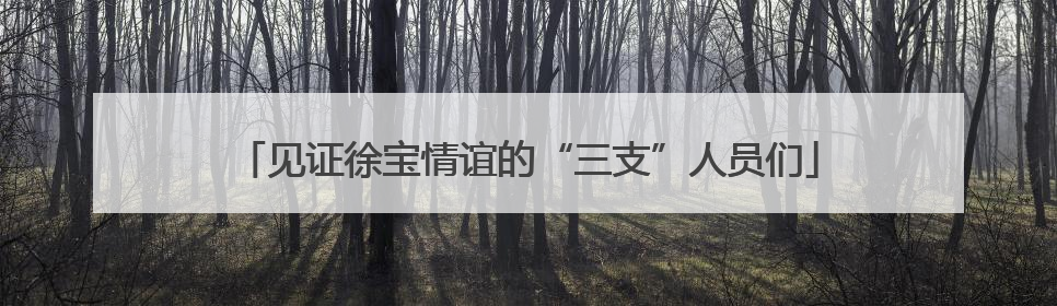 见证徐宝情谊的“三支”人员们