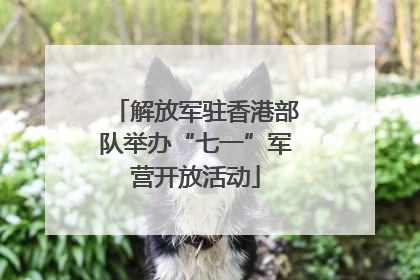 解放军驻香港部队举办“七一”军营开放活动
