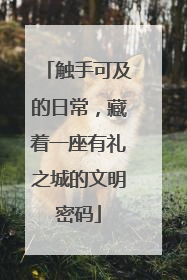 触手可及的日常，藏着一座有礼之城的文明密码