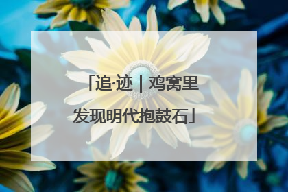 追·迹｜鸡窝里发现明代抱鼓石
