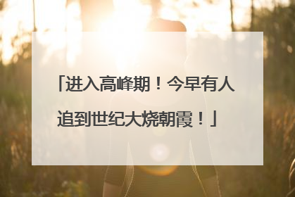 进入高峰期！今早有人追到世纪大烧朝霞！