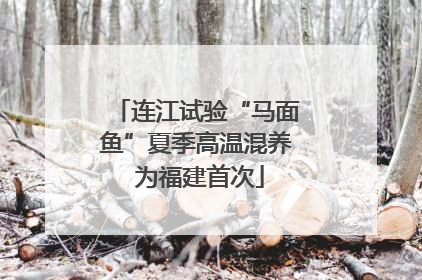 连江试验“马面鱼”夏季高温混养 为福建首次