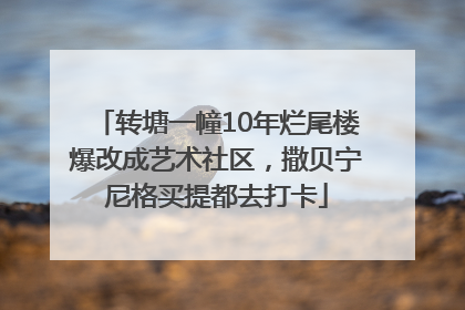 转塘一幢10年烂尾楼爆改成艺术社区，撒贝宁尼格买提都去打卡