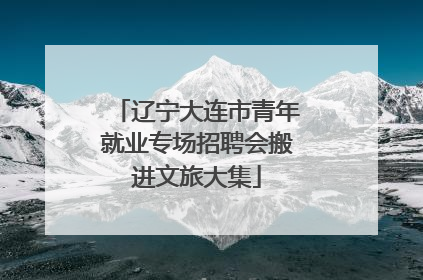 辽宁大连市青年就业专场招聘会搬进文旅大集