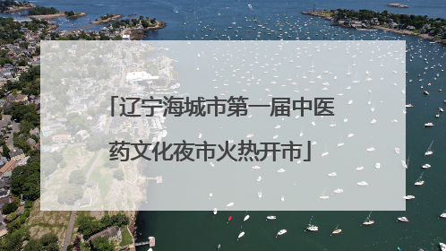 辽宁海城市第一届中医药文化夜市火热开市