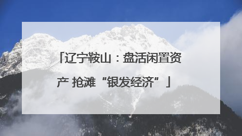 辽宁鞍山：盘活闲置资产 抢滩“银发经济”
