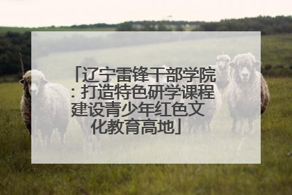 辽宁雷锋干部学院：打造特色研学课程 建设青少年红色文化教育高地