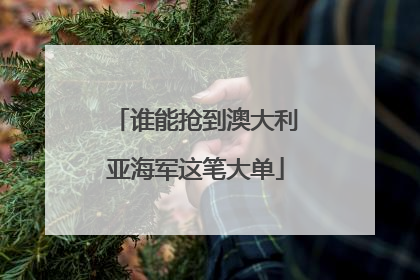 谁能抢到澳大利亚海军这笔大单