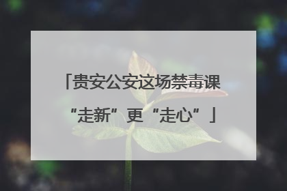贵安公安这场禁毒课“走新”更“走心”