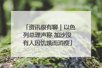 资讯很有聊｜以色列总理声称 加沙没有人因饥饿而消瘦
