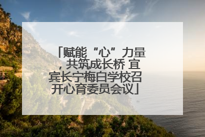 赋能“心”力量，共筑成长桥 宜宾长宁梅白学校召开心育委员会议