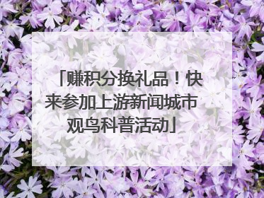 赚积分换礼品！快来参加上游新闻城市观鸟科普活动