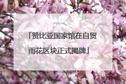 赞比亚国家馆在自贸雨花区块正式揭牌