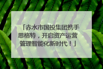 赤水市国投集团携手思格特，开启资产运营管理智能化新时代！