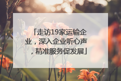 走访19家运输企业，深入企业听心声，精准服务促发展