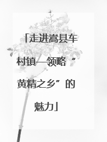 走进嵩县车村镇—领略“黄精之乡”的魅力