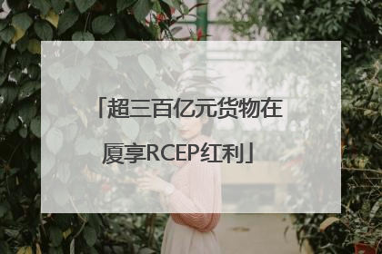 超三百亿元货物在厦享RCEP红利