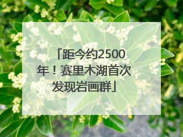距今约2500年！赛里木湖首次发现岩画群