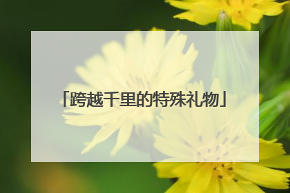跨越千里的特殊礼物