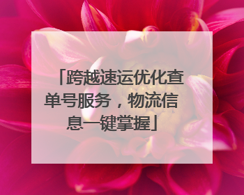 跨越速运优化查单号服务，物流信息一键掌握