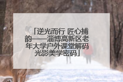 逆光而行 匠心捕韵——淄博高新区老年大学户外课堂解码光影美学密码