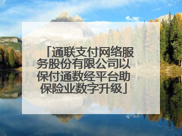 通联支付网络服务股份有限公司以保付通数经平台助保险业数字升级