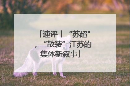 速评丨“苏超”，“散装”江苏的集体新叙事