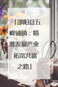 邵阳县五峰铺镇：精准发展产业 拓宽共富之路